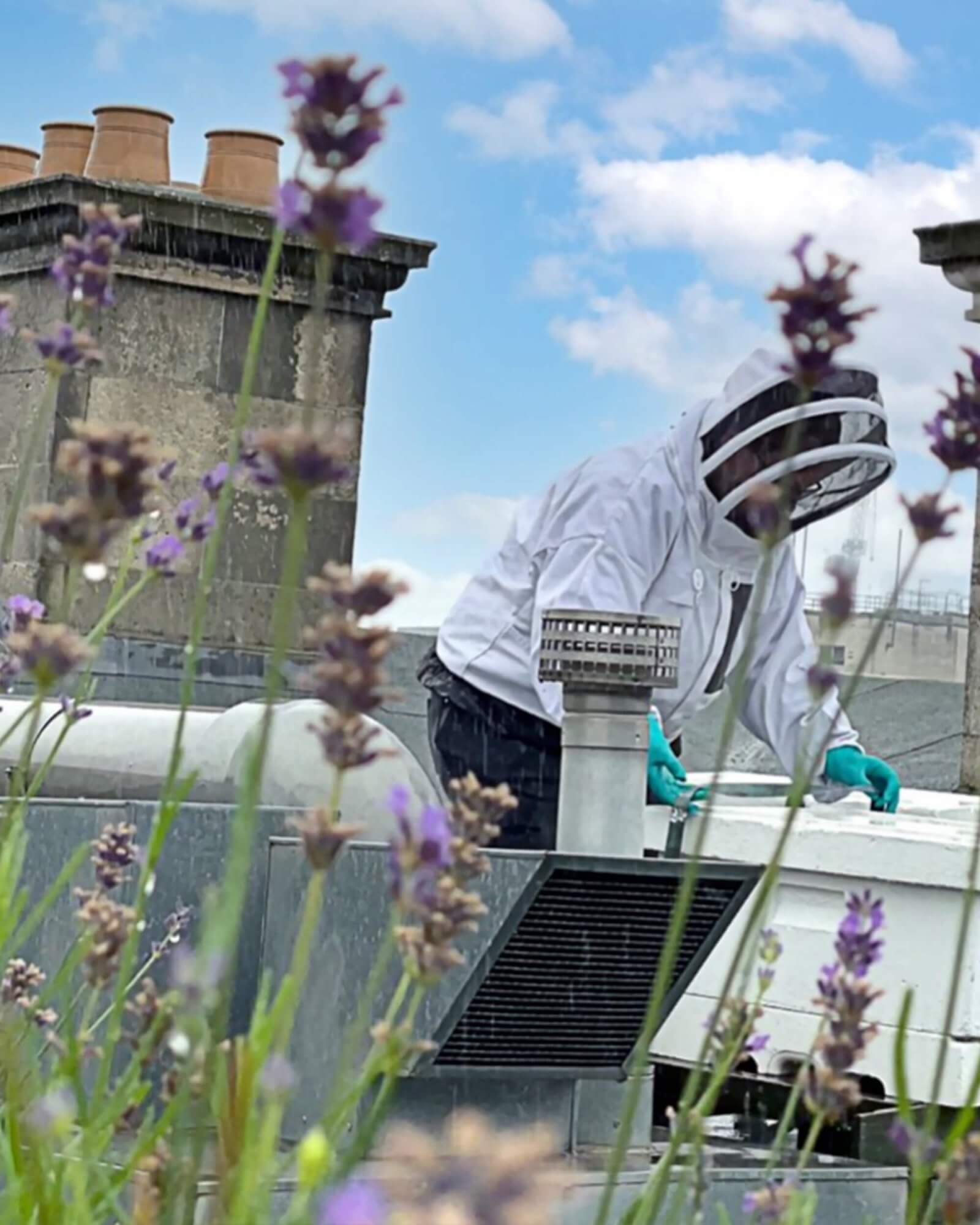 a bee keeper tending to a hive on the roof of Garrards urban garden in London